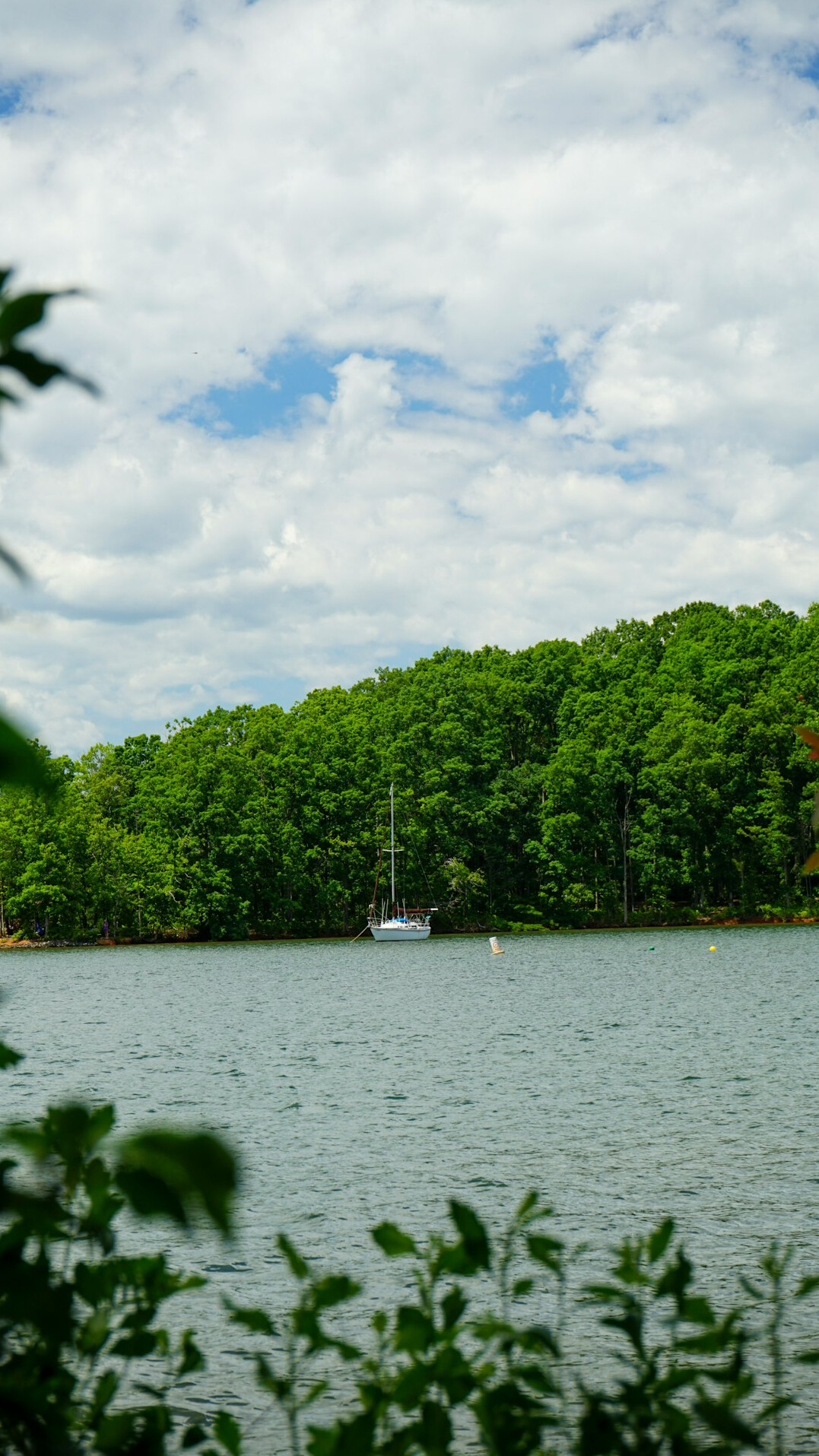 Lake with small boat surrounded by forest