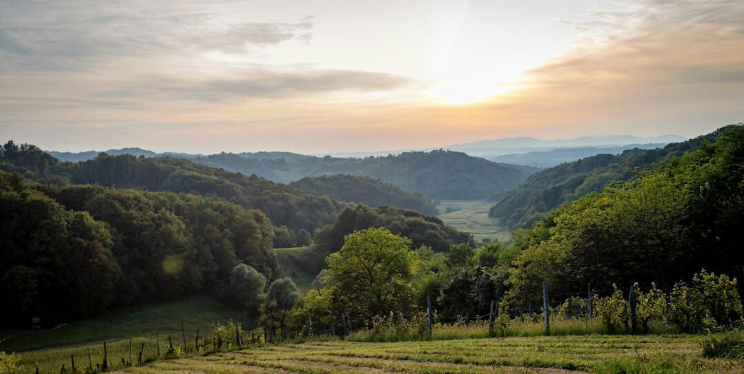 Sunrise over green hills and forest valley