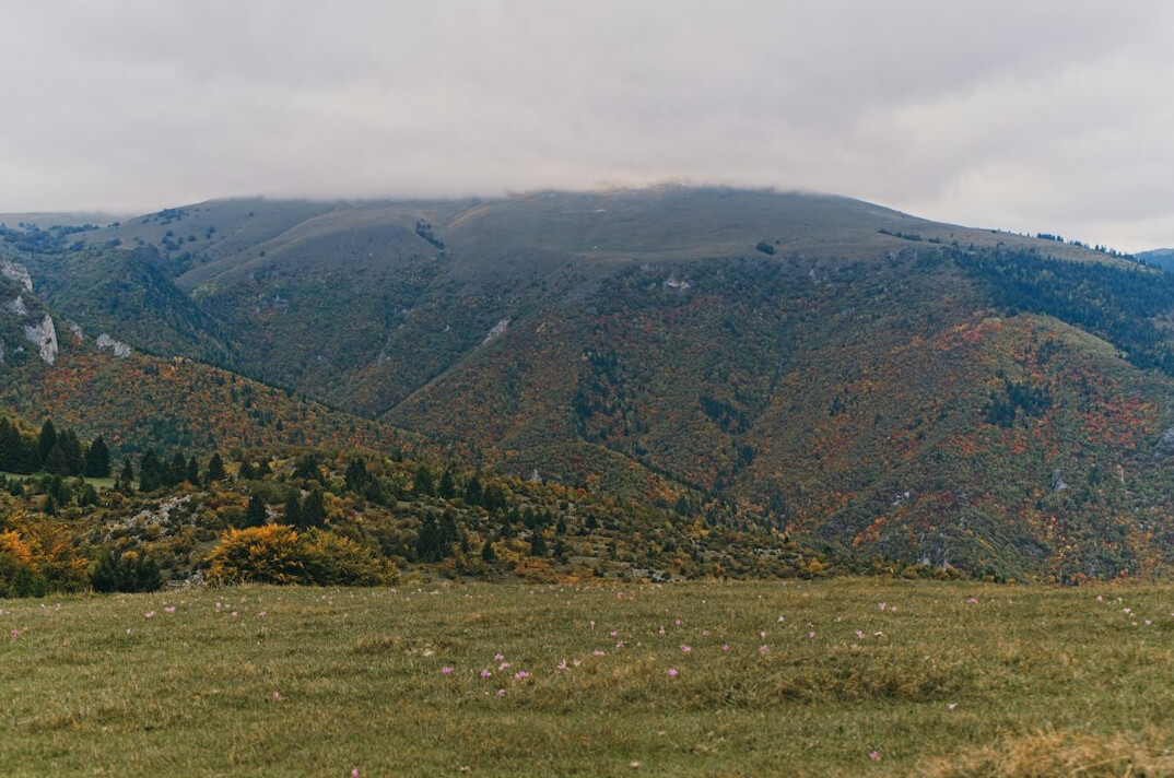 Green mountain meadows and ridges in autumn