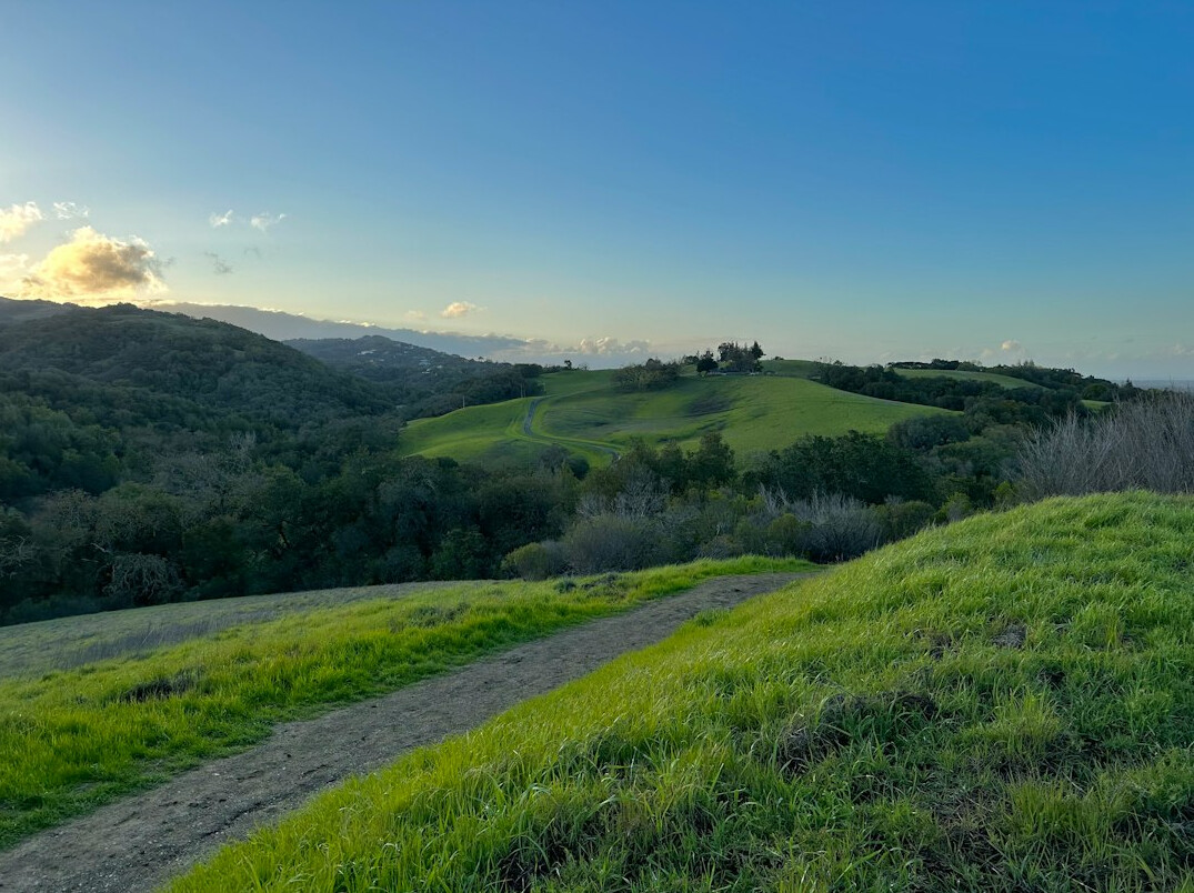 Rolling green hills with a path and distant castle